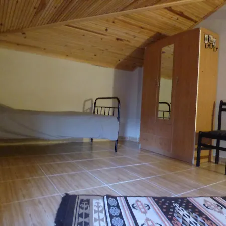 Harmonypine Hostel *