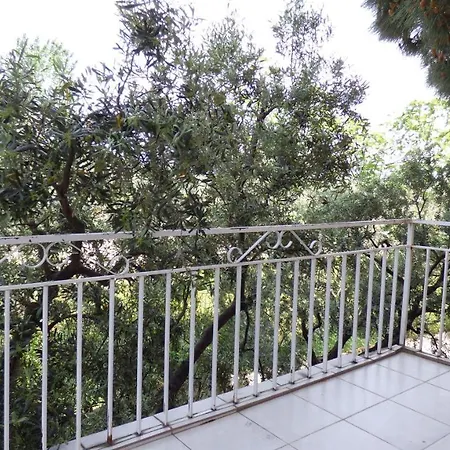 Harmonypine Hostel