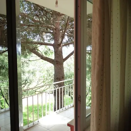 Hostel Harmonypine
