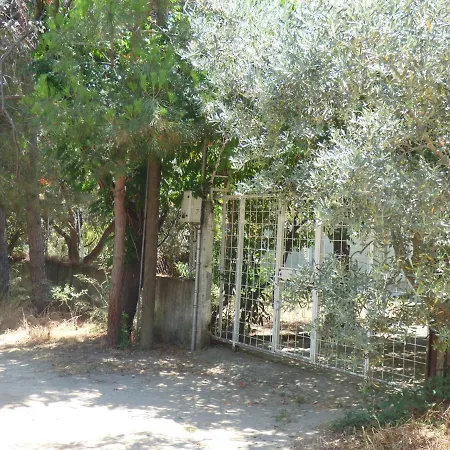 Harmonypine بيت شباب *